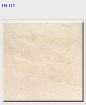 ������������ Estima / ������ ��������� Trend