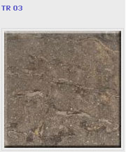 ������������ Estima / ������ ��������� Trend