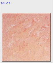 ������������ Estima ��������� Premier