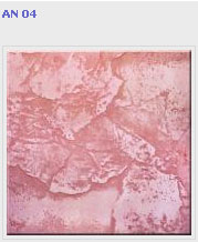 ������������ Estima ��������� Antica